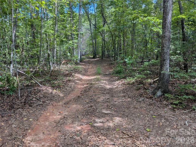 00 Pea Ridge Road, Mill Spring, NC 28756