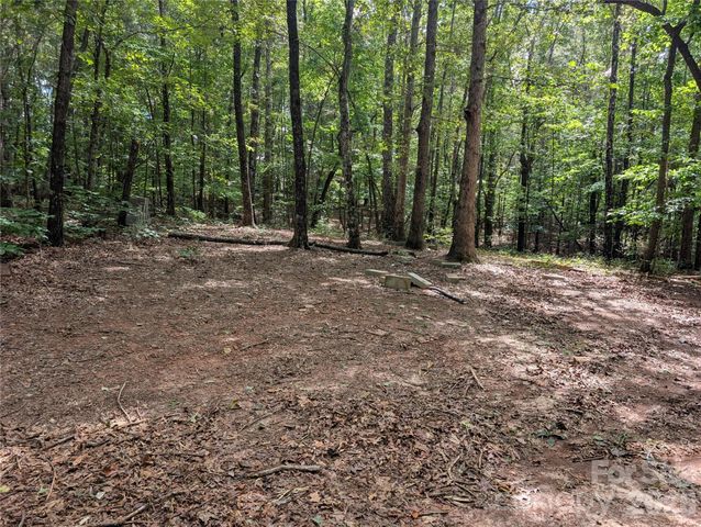 00 Pea Ridge Road, Mill Spring, NC 28756