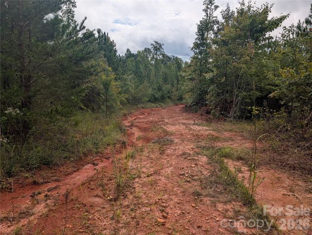 00 Pea Ridge Road, Mill Spring, NC 28756