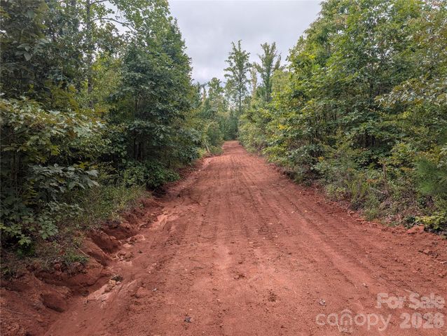 00 Pea Ridge Road, Mill Spring, NC 28756