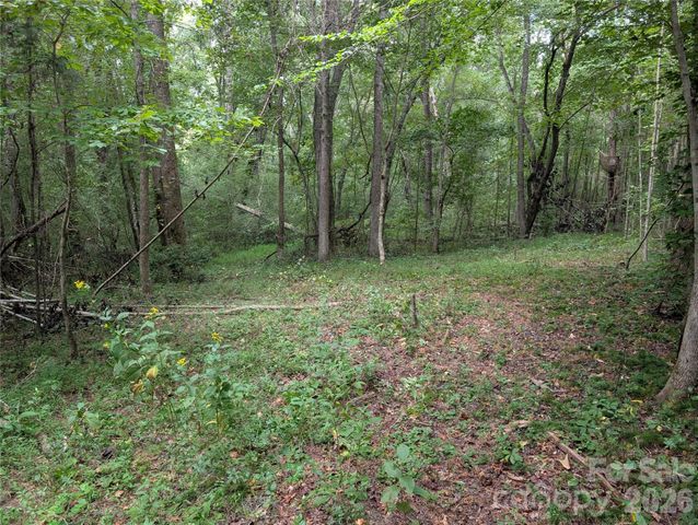 00 Pea Ridge Road, Mill Spring, NC 28756