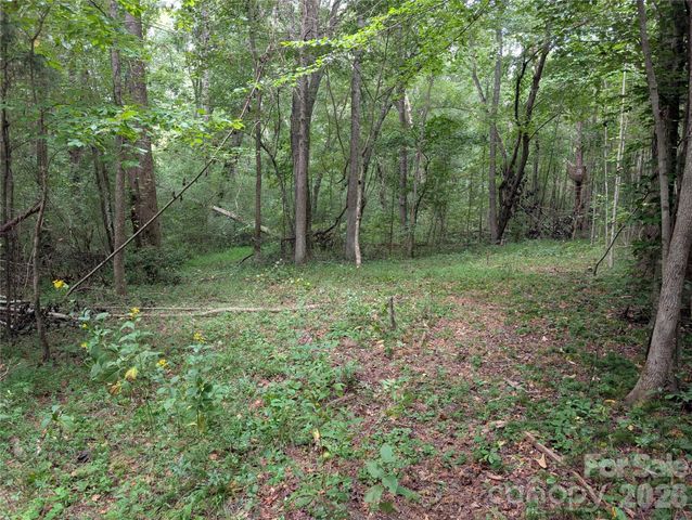 00 Pea Ridge Road, Mill Spring, NC 28756