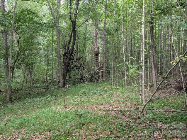 00 Pea Ridge Road, Mill Spring, NC 28756
