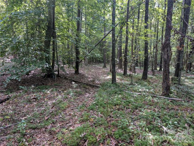 00 Pea Ridge Road, Mill Spring, NC 28756