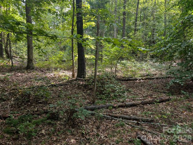 00 Pea Ridge Road, Mill Spring, NC 28756