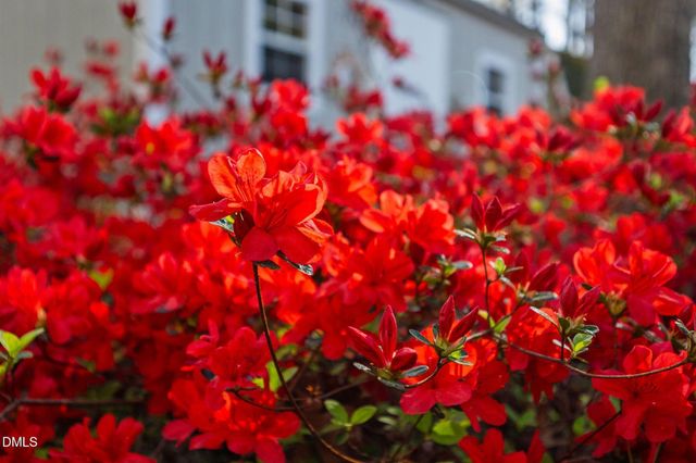 1113 Braemar Court, Cary, NC 27511