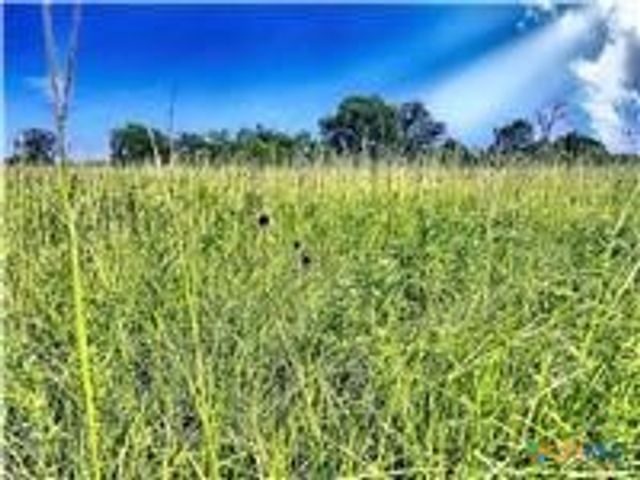 5350 Soda Springs Road, Luling, TX 78648