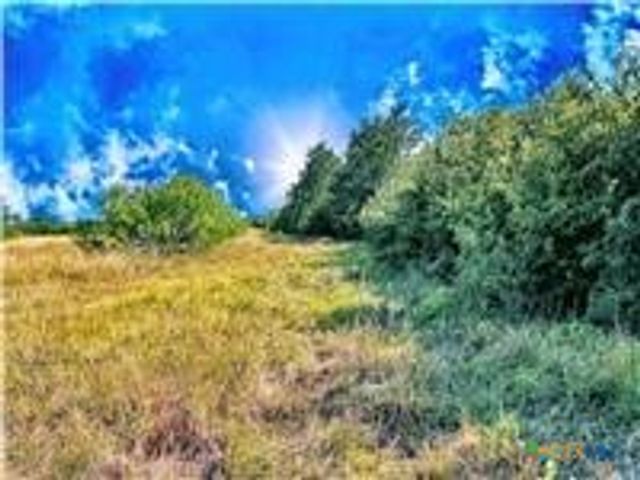 5350 Soda Springs Road, Luling, TX 78648