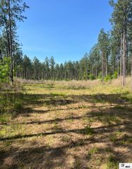 0000 HIGHWAY 548, Chatham, LA 71226