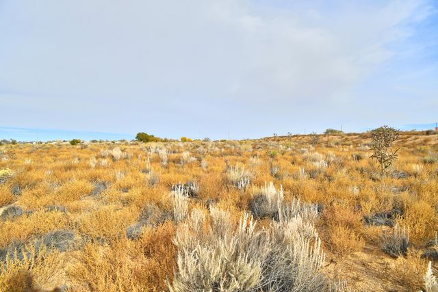 321 11th Avenue SE, Rio Rancho, NM 87124