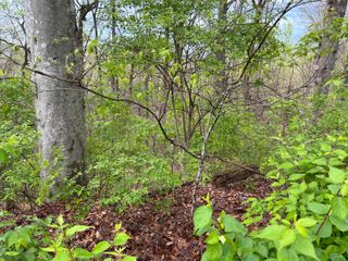 tbd Missionary Ridge Rd, Newport, TN 37821