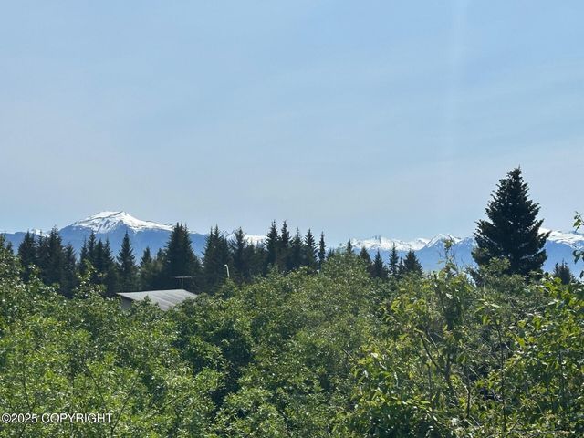 858 Linda Court, Homer, AK 99603