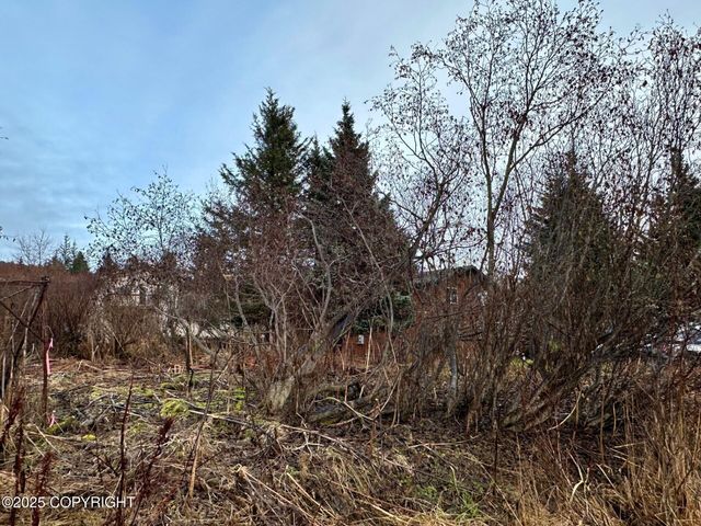 858 Linda Court, Homer, AK 99603
