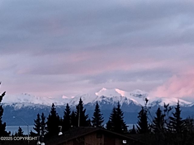 858 Linda Court, Homer, AK 99603