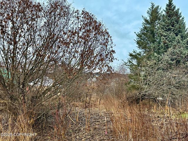 858 Linda Court, Homer, AK 99603