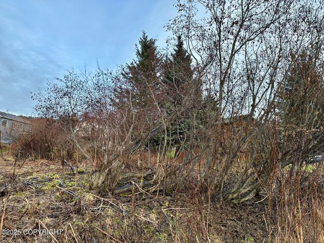 858 Linda Court, Homer, AK 99603