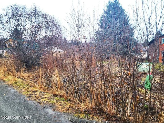 858 Linda Court, Homer, AK 99603