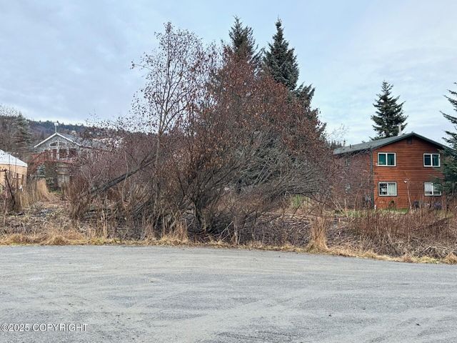 858 Linda Court, Homer, AK 99603