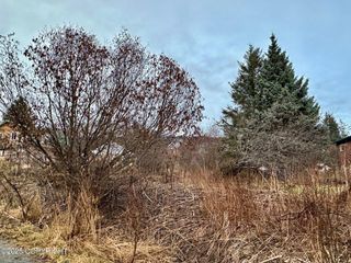 858 Linda Court, Homer, AK 99603