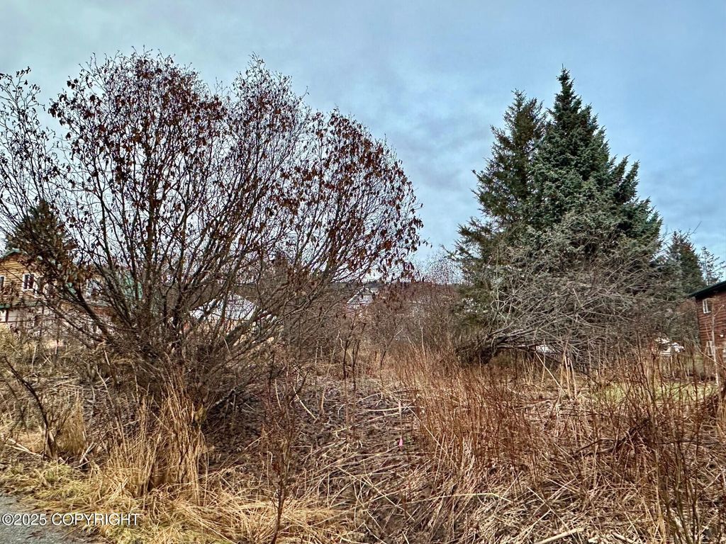 858 Linda Court, Homer, AK 99603