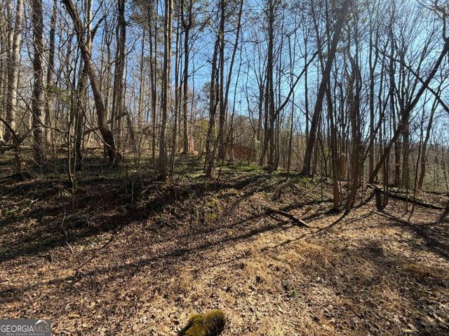 522 Bible Baptist Road, Ellijay, GA 30536