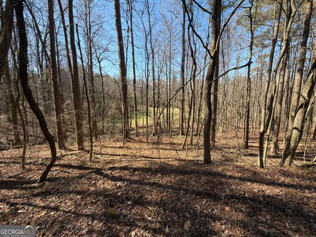 522 Bible Baptist Road, Ellijay, GA 30536