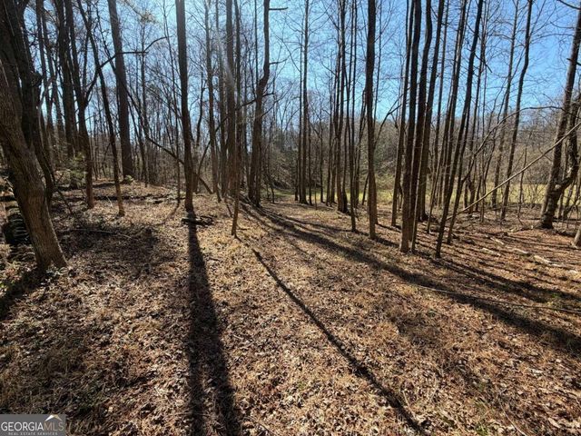 522 Bible Baptist Road, Ellijay, GA 30536