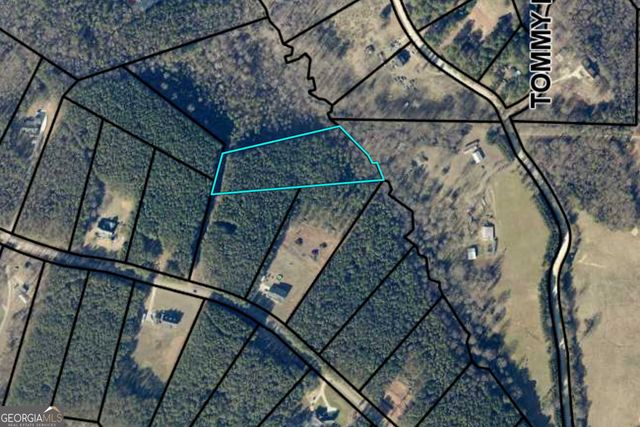 0 Moonlight Drive, Martin, GA 30557