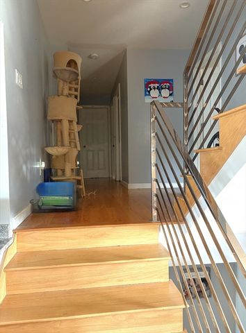 63 Doonan St, Medford, MA 02155