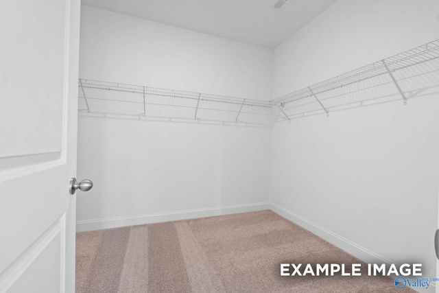 20992 English Ivy Lane, Athens, AL 35611