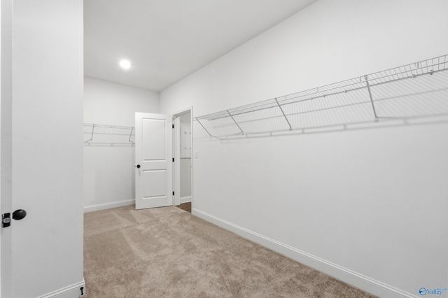 20992 English Ivy Lane, Athens, AL 35611