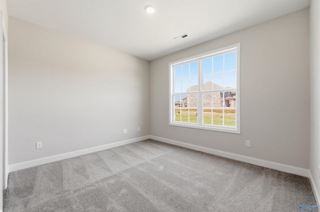 20992 English Ivy Lane, Athens, AL 35611
