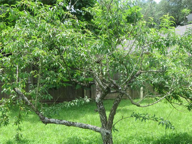 454 Pamela Drive, Mineola, TX 75773