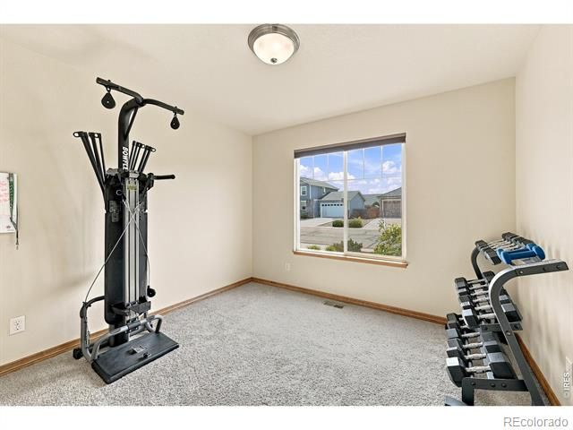 4228 Cypress Ridge Lane, Wellington, CO 80549