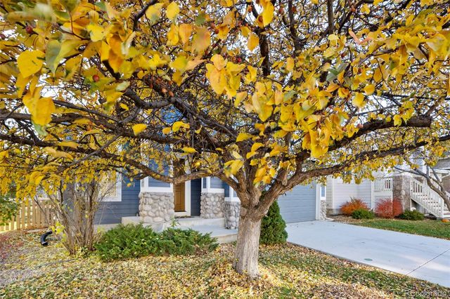 10655 Cherrybrook Circle, Highlands Ranch, CO 80126