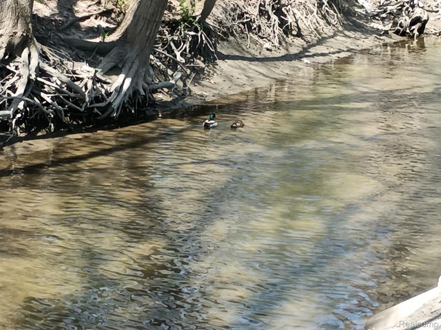 15870 ALLEN Road, Taylor, MI 48180