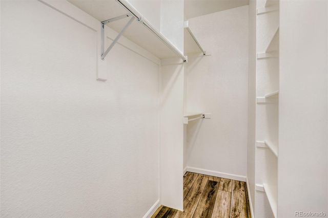 1127 Fairfield Avenue, Windsor, CO 80550