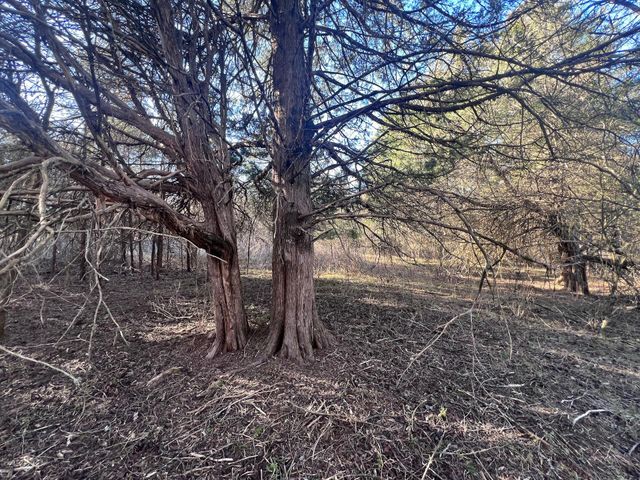 0 White House RD, Moneta, VA 24121