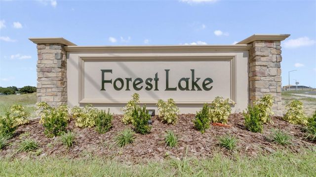 1716 BUCKEYE RD ROAD, Davenport, FL 33837