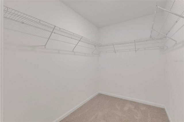 5913 PINEY SHRUB PLACE, St Cloud, FL 34771