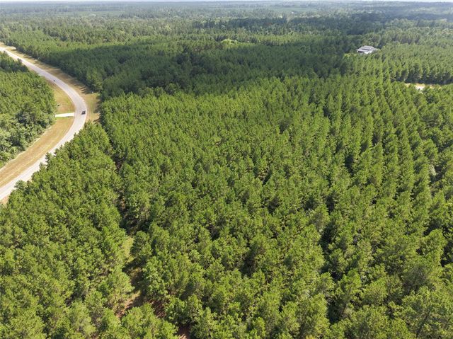 15785 Woodlife Road, Willis, TX 77378