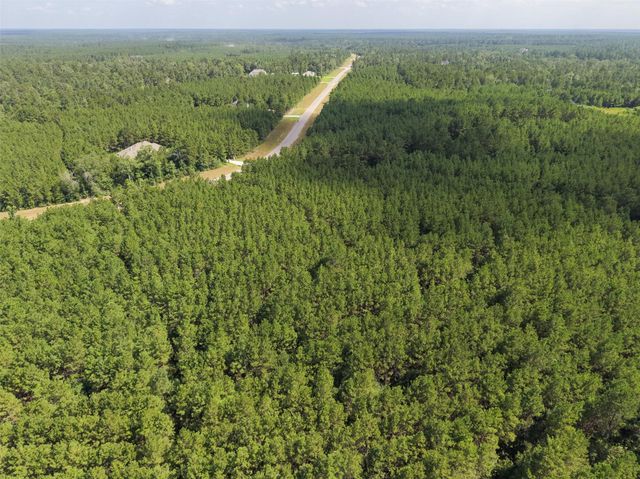 15785 Woodlife Road, Willis, TX 77378