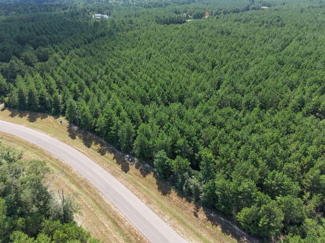 15785 Woodlife Road, Willis, TX 77378