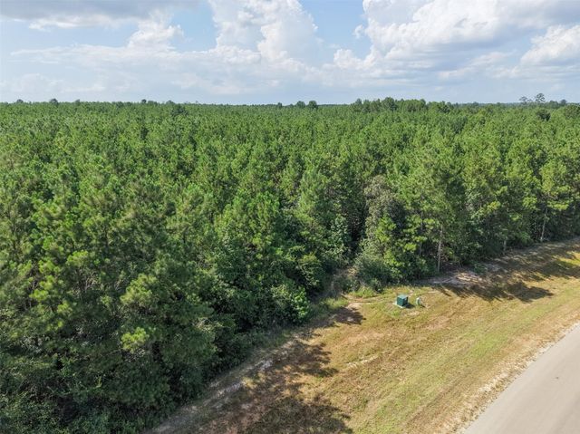 15785 Woodlife Road, Willis, TX 77378