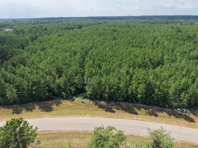 15785 Woodlife Road, Willis, TX 77378