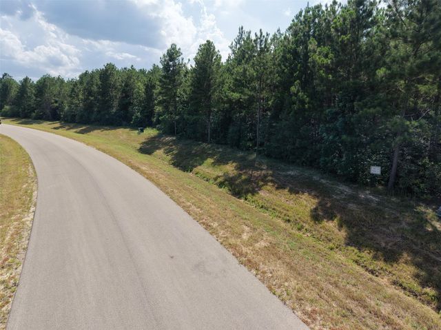 15785 Woodlife Road, Willis, TX 77378