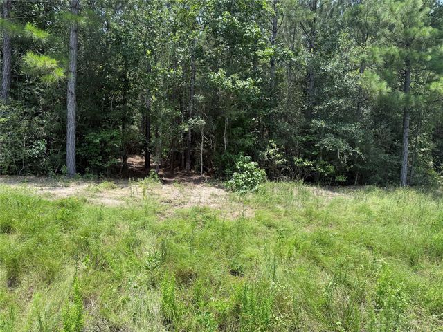 15785 Woodlife Road, Willis, TX 77378