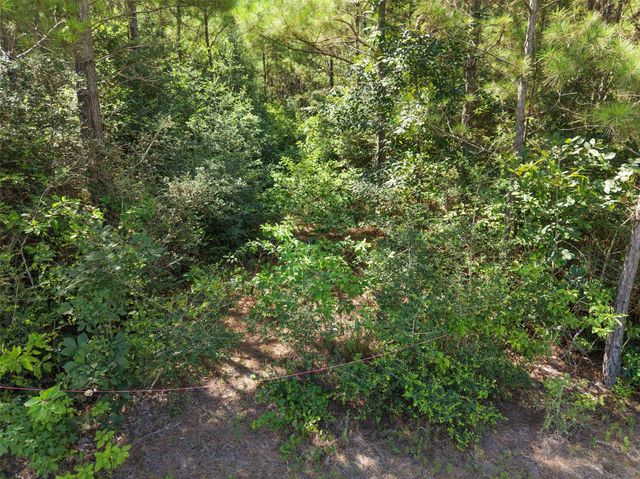 15785 Woodlife Road, Willis, TX 77378