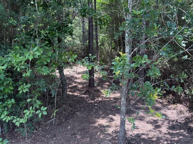 15785 Woodlife Road, Willis, TX 77378