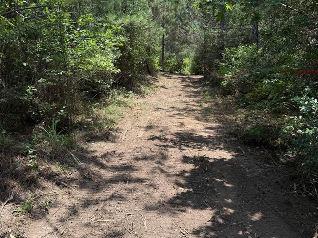 15785 Woodlife Road, Willis, TX 77378